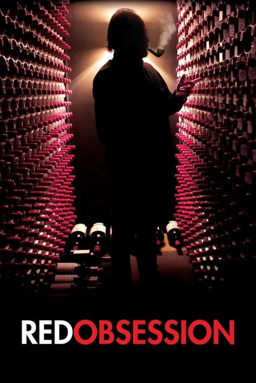 红色情结(2013)海报