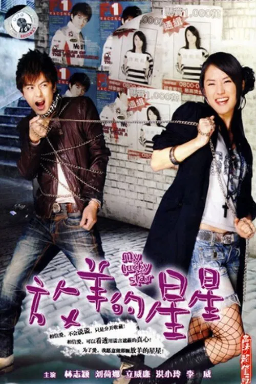 放羊的星星(2007)海报