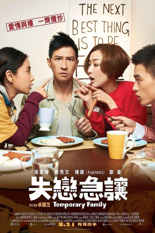 临时同居(2014)海报