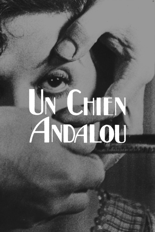 一条安达鲁狗(1929)海报