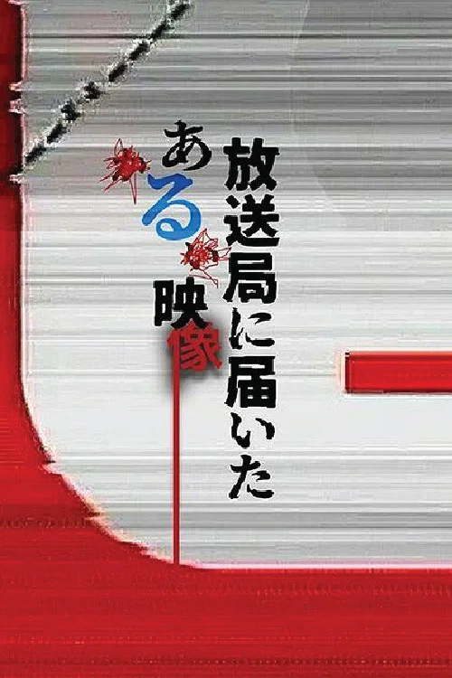 寄往電視臺的神秘影像(2026)海報