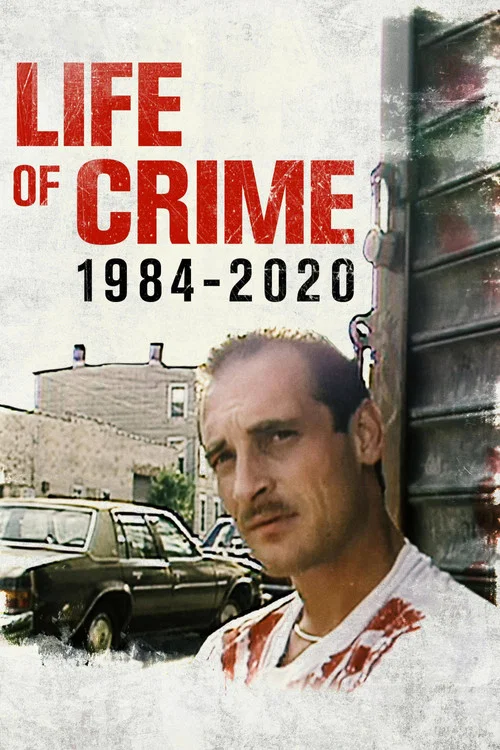 人生1984(2021)海报