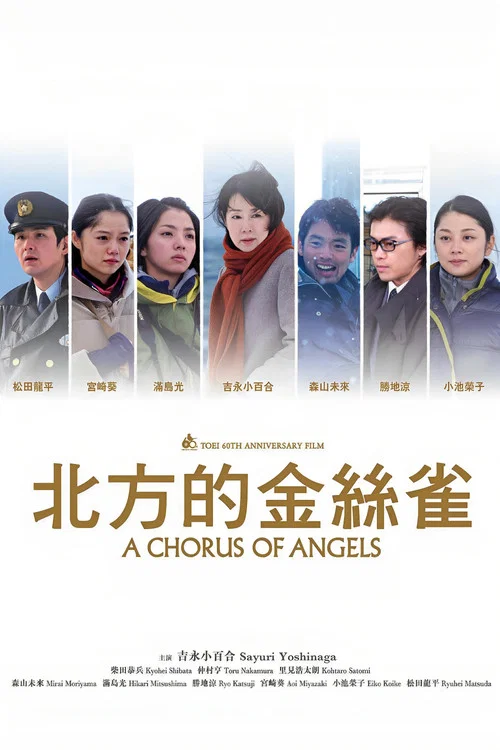 北方的金丝雀(2012)海报