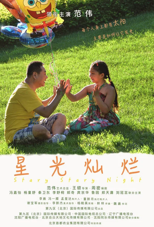 星光灿烂(2017)海报