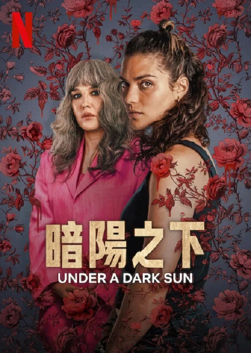 暗阳之下(2025)海报
