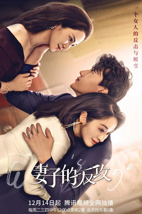 妻子的反攻(2021)海報
