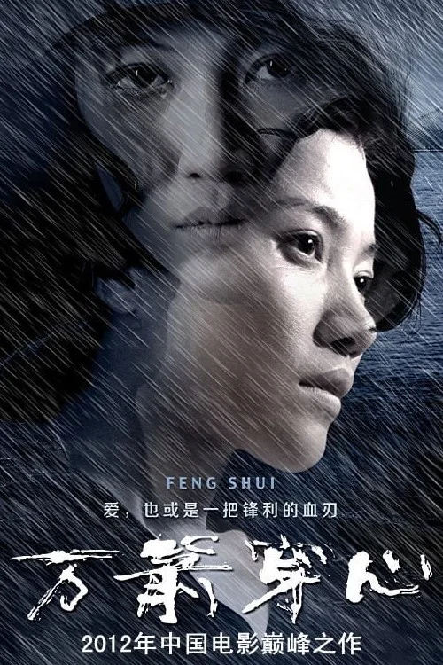 万箭穿心(2012)海报