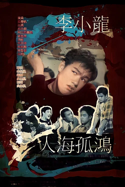 人海孤鴻(1960)海報