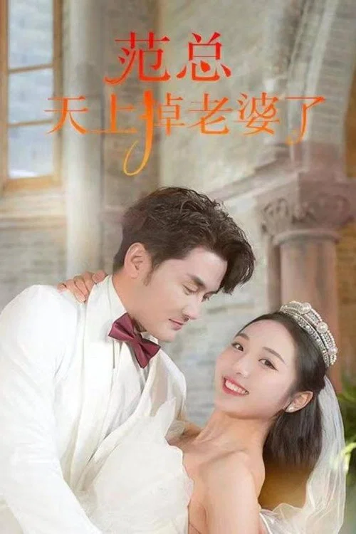 範總天上掉老婆了(2024)海報