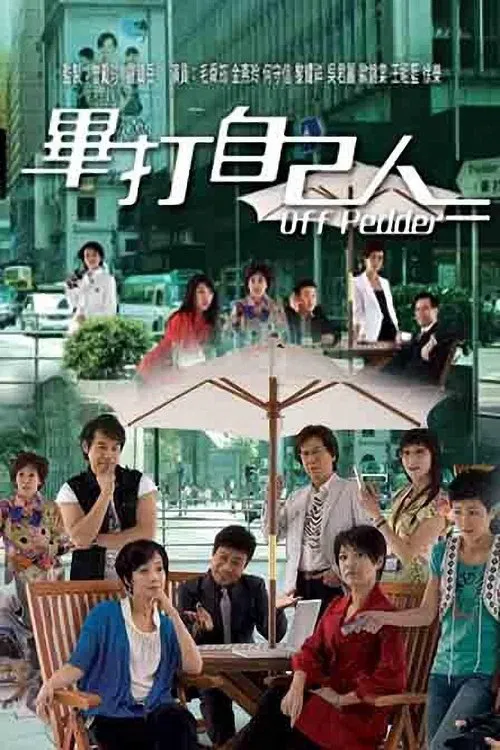 毕打自己人粤语(2008)海报