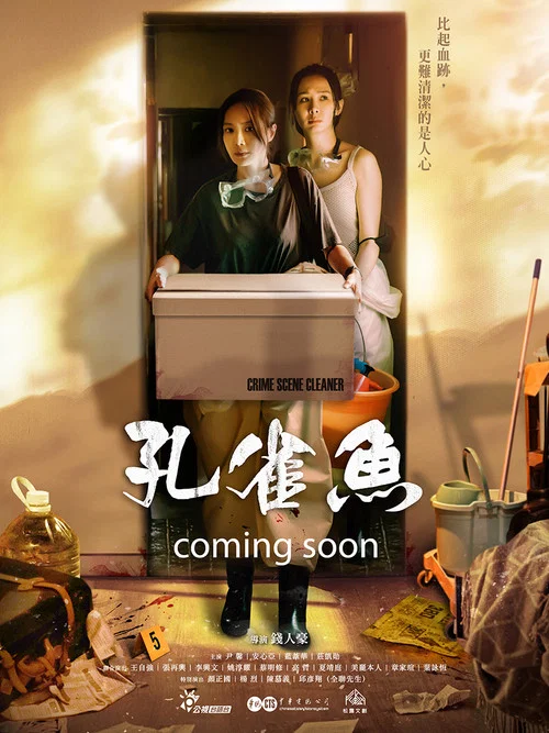孔雀鱼(2024)海报