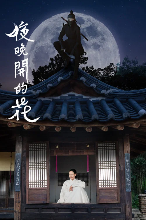 夜晚開的花(2024)海報
