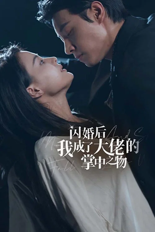 閃婚後我成了大佬的掌中之物(2024)海報