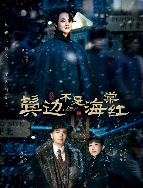 海棠不是鬓边红剧照5