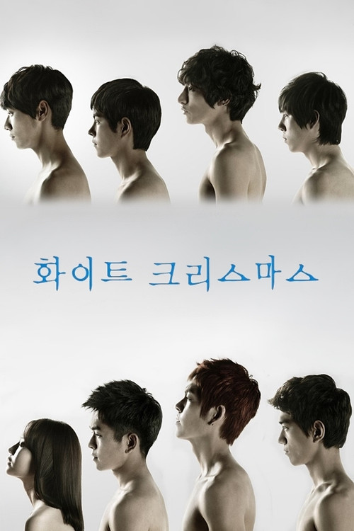 白色聖誕節(2011)海報