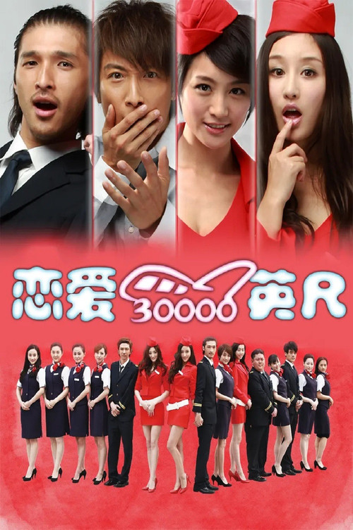 戀愛三萬英尺(2012)海報