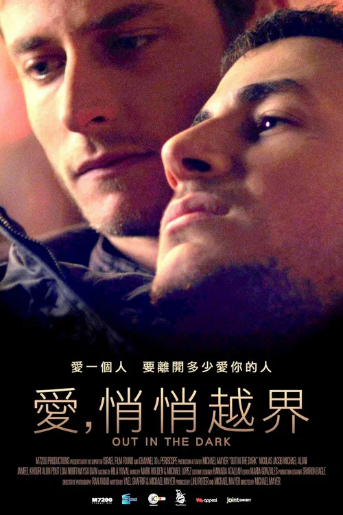 暗之光(2012)海报