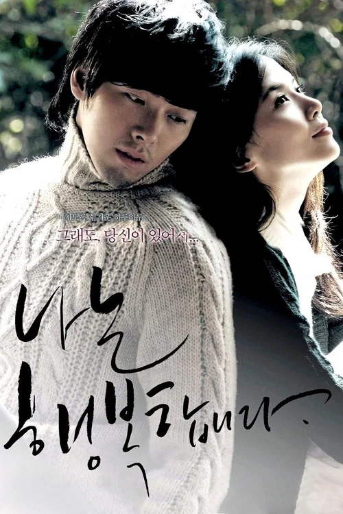 我很幸福(2009)海報