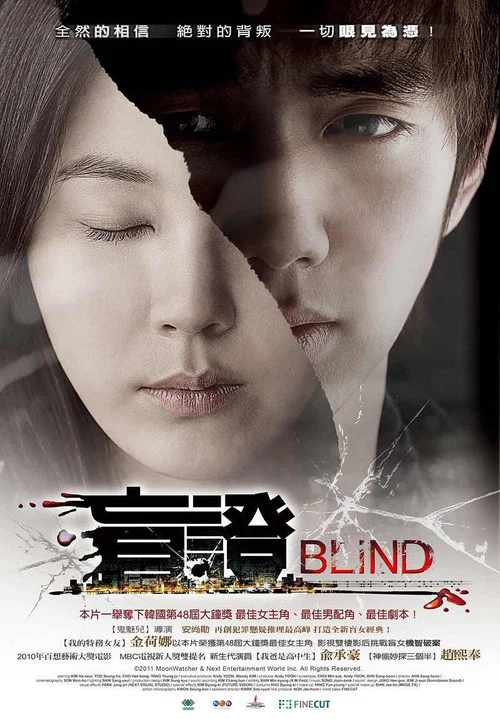 盲證(2011)海報