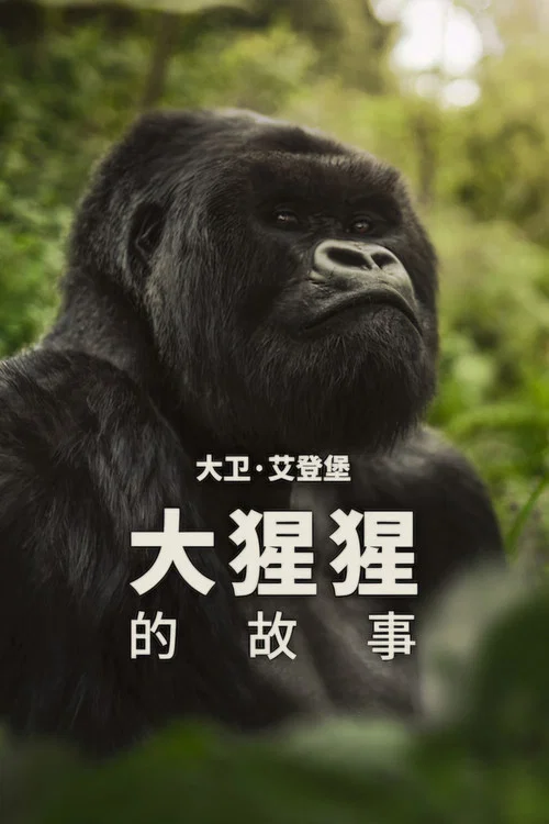大卫·艾登堡:大猩猩的故事(2026)海报