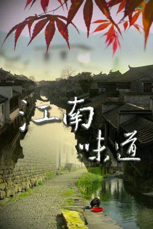 江南味道(2013)海报