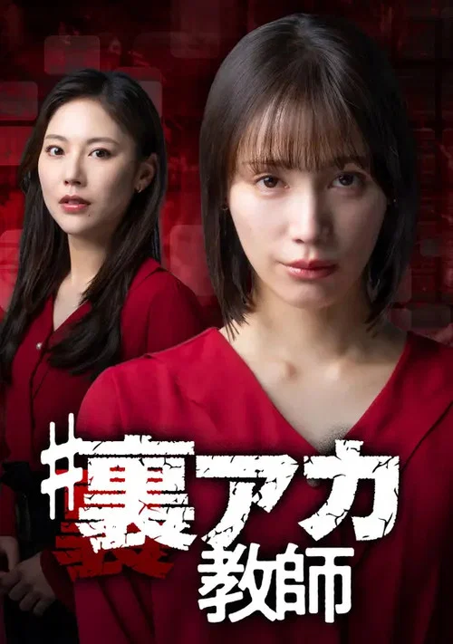 秘密賬號教師(2025)海報