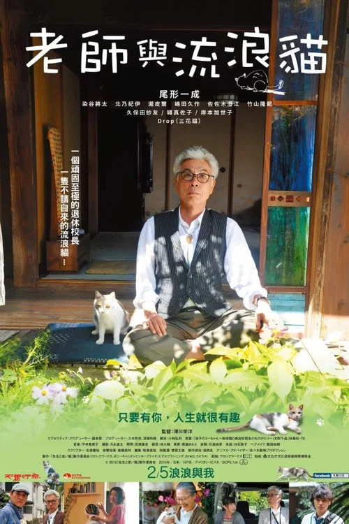 老师与流浪猫(2015)海报