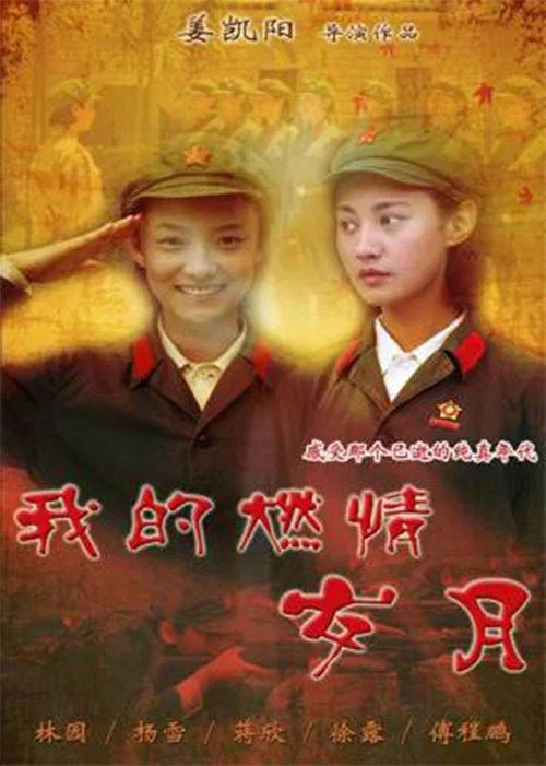 我的燃情歲月(2011)海報