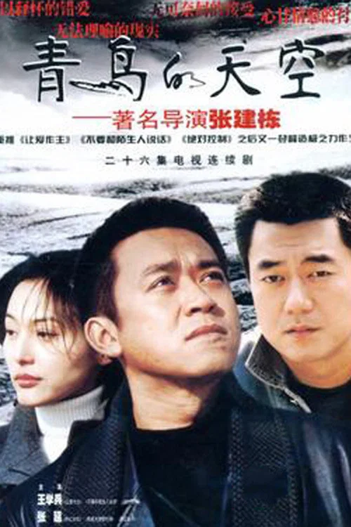 青鸟的天空(2004)海报