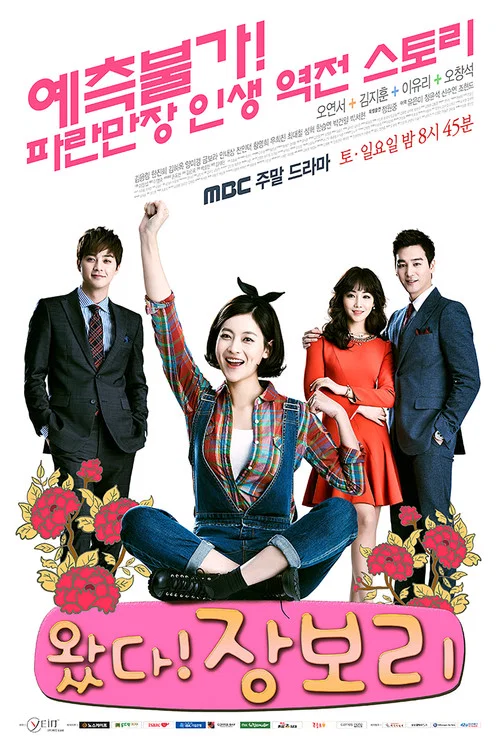 來了!張寶利(2014)海報