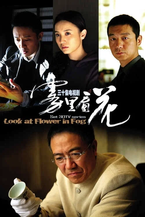 雾里看花(2009)海报