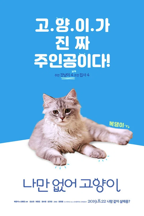 只有我没有猫海报