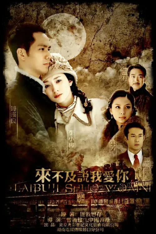 来不及爱你(2010)海报