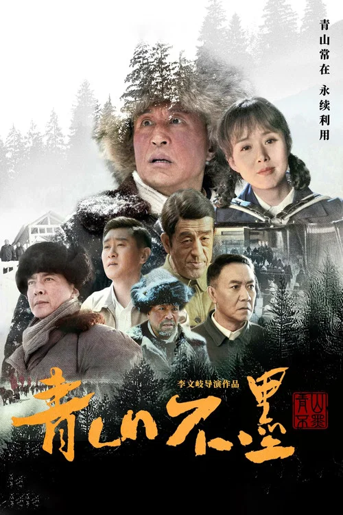 青山不墨(2022)海报