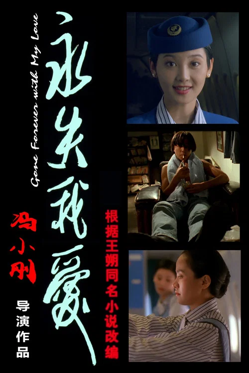 永失我爱(1994)海报