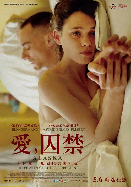 愛情初學者(2015)海報