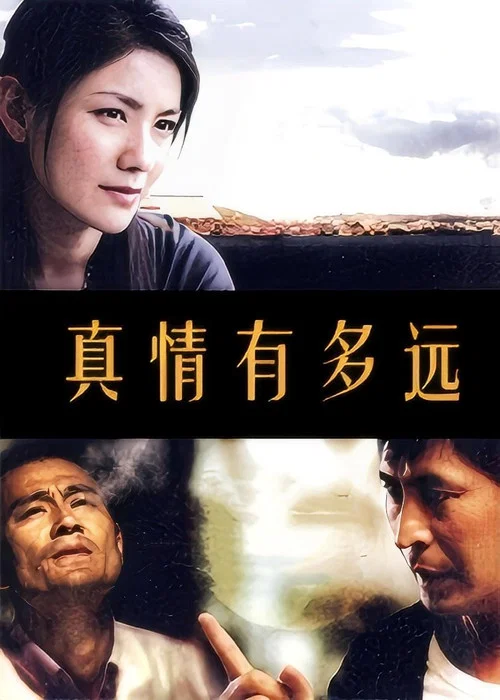 真情有多遠(2010)海報