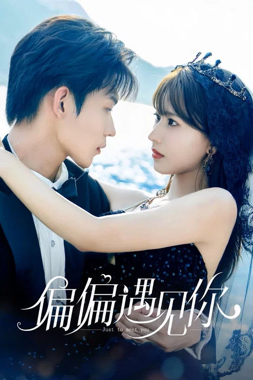 偏偏遇见你(2026)海报