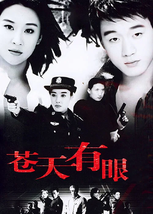蒼天有眼(2005)海報