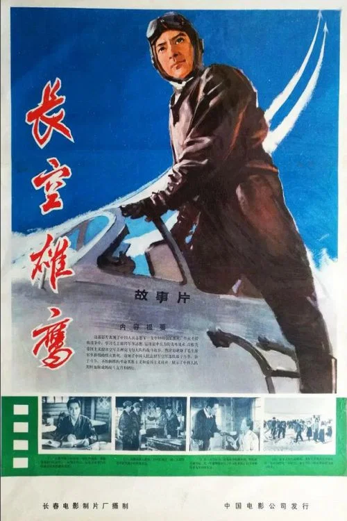 长空雄鹰(1976)海报