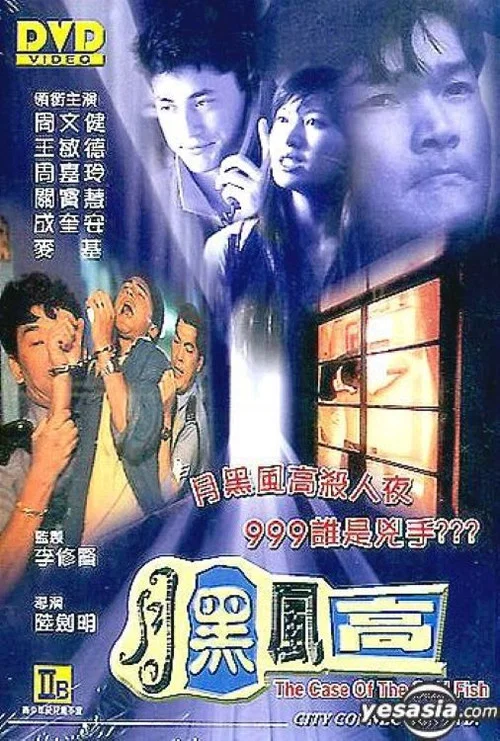 月黑风高(1995)海报