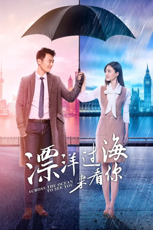 漂洋过海来看你(2017)海报