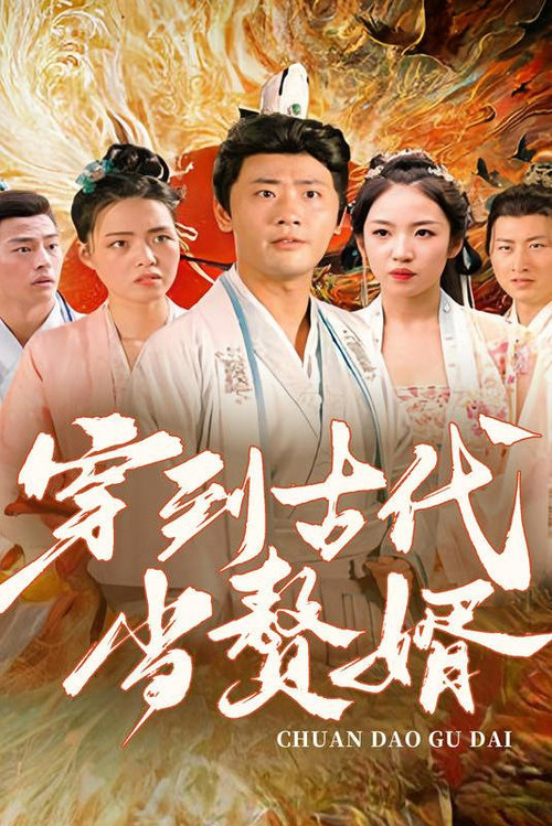 穿到古代当赘婿(2023)海报