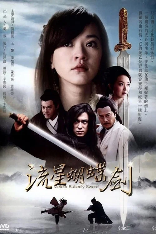 流星蝴蝶劍國語(2010)海報