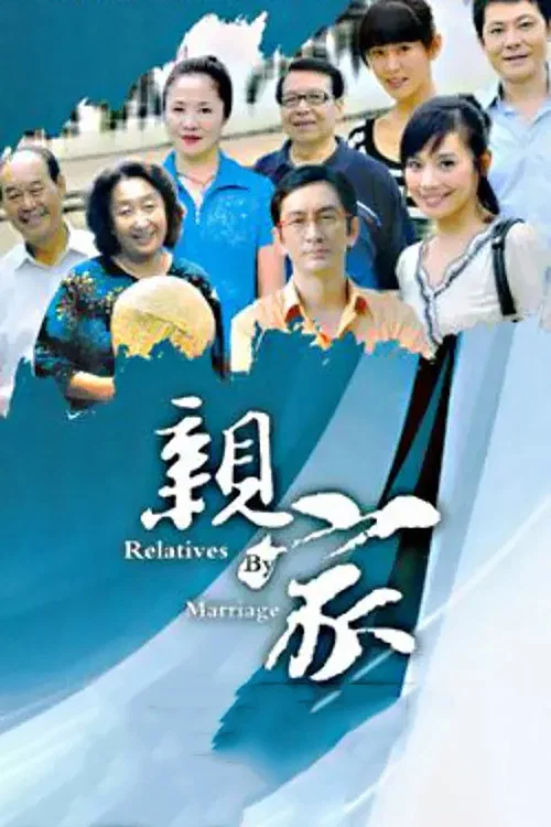 親家(2007)海報
