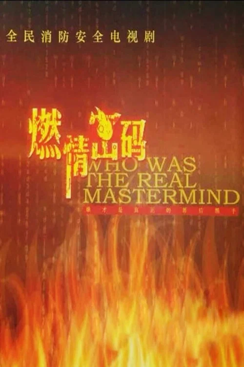 燃情密码(2013)海报