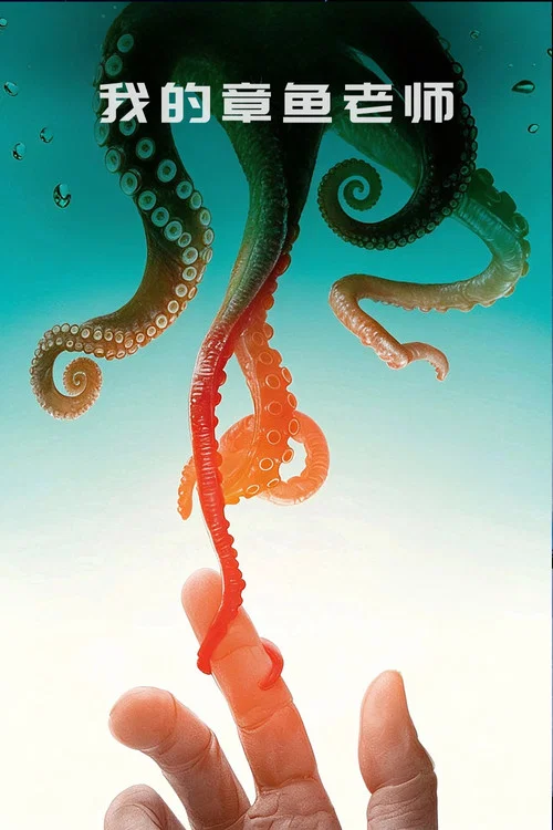 我的章鱼老师(2020)海报