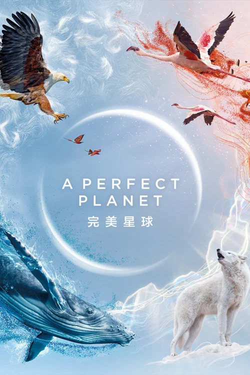 完美星球(2021)海報