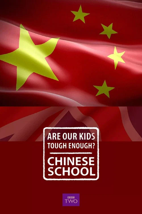 中式学校海报