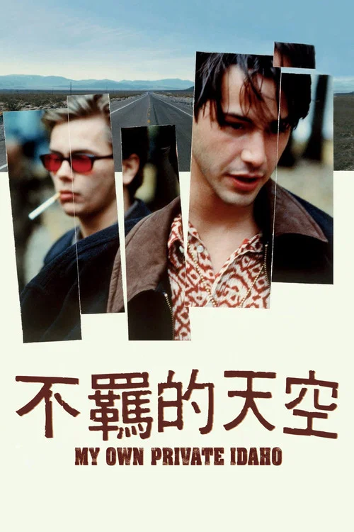 我自己的愛達荷(1991)海報